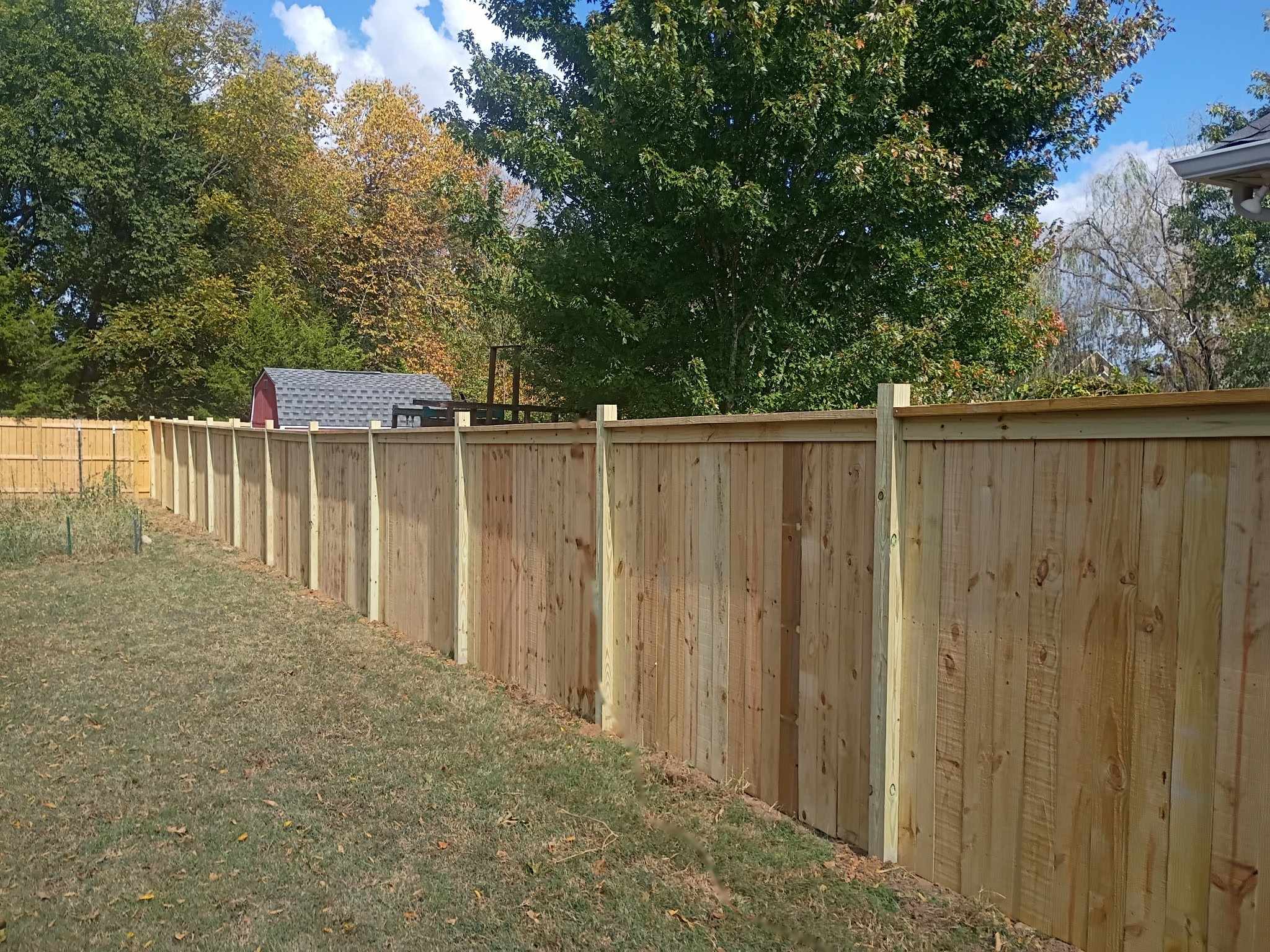 Long run of new pressure treated wood privacy fence with a flat cap board along a tree lined backyard