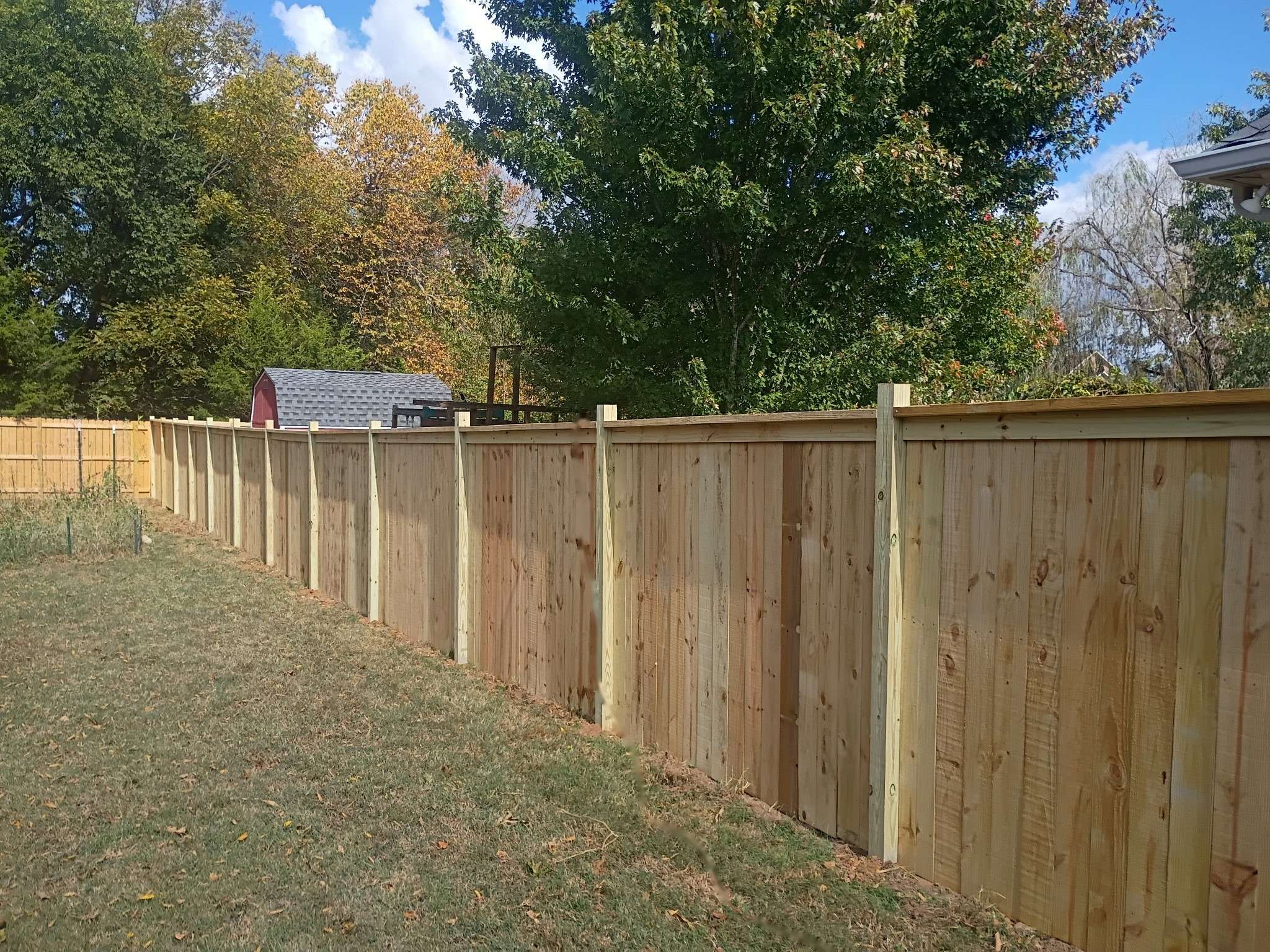 Long run of new pressure treated wood privacy fence with a flat cap board along a tree lined backyard